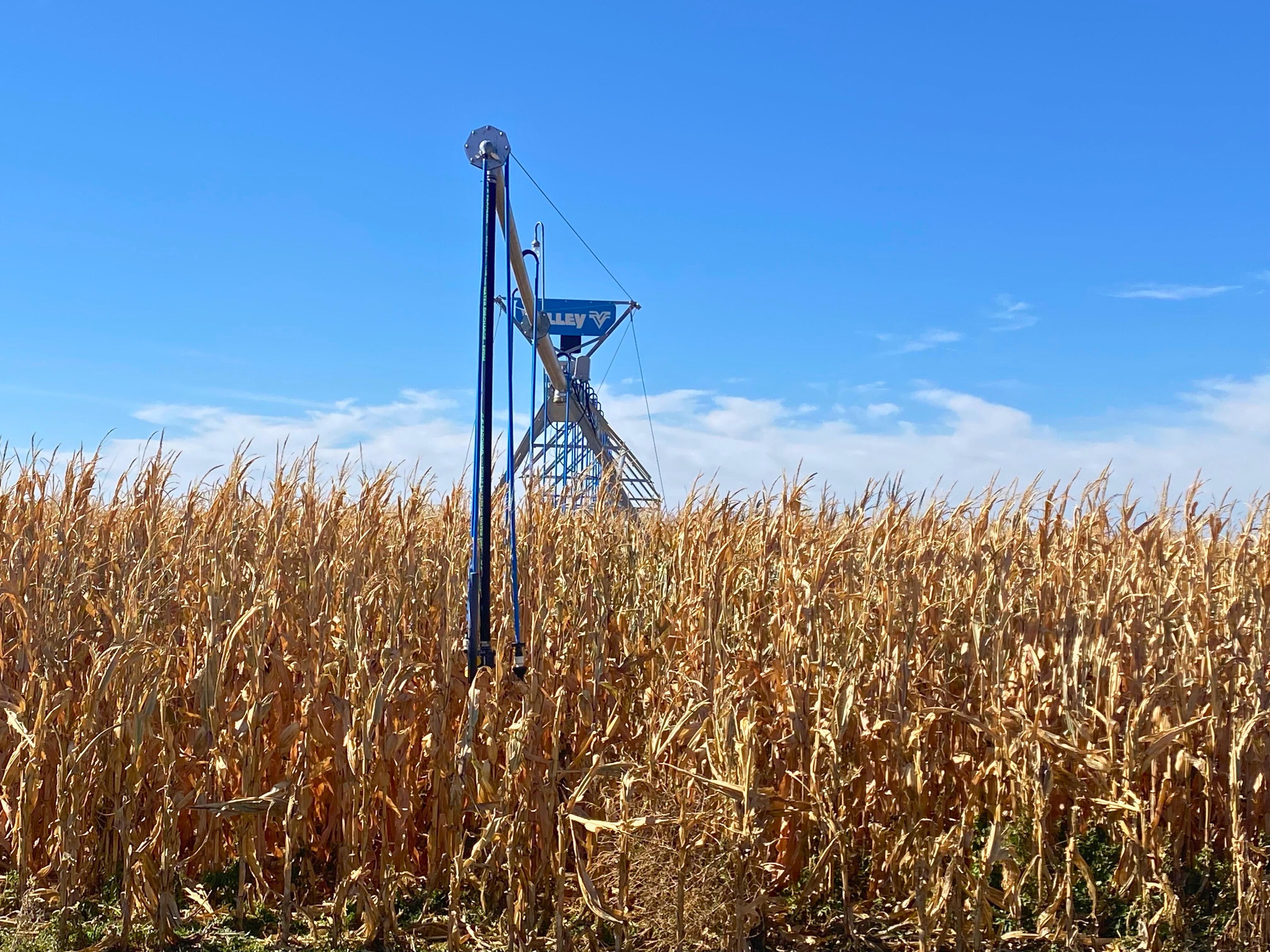 1,182 acres in Goodwell, OK, 73939 MLS 239019 LandWatch