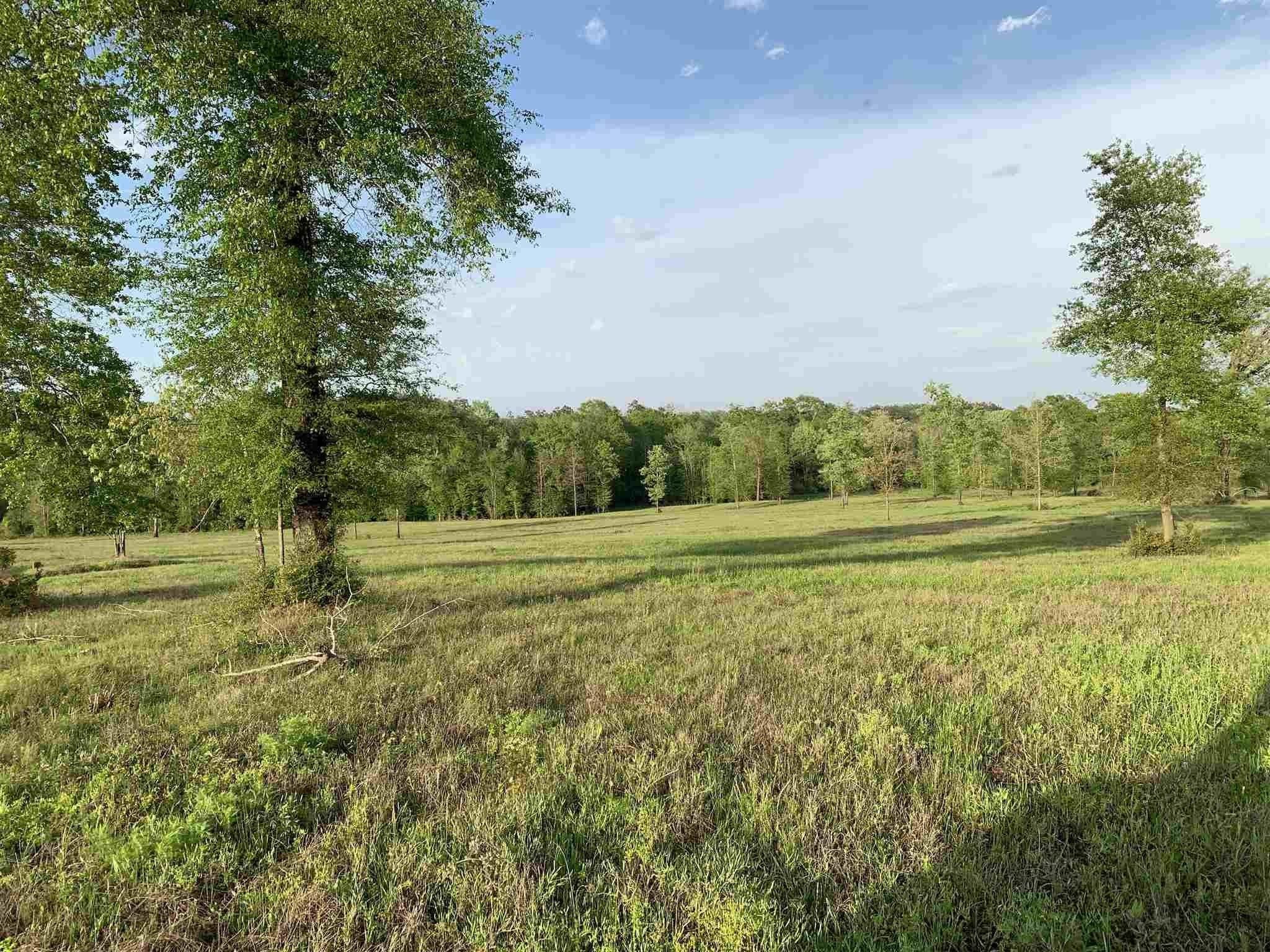 Campti, Shelby County, TX Undeveloped Land for sale Property ID