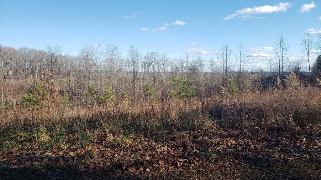 Farmville, Prince Edward County, VA Undeveloped Land for sale Property