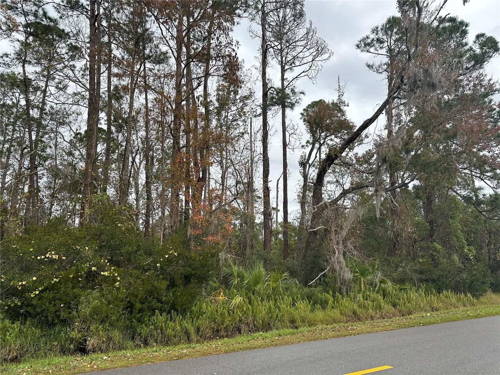 Deland, Volusia County, FL Undeveloped Land, Homesites for sale