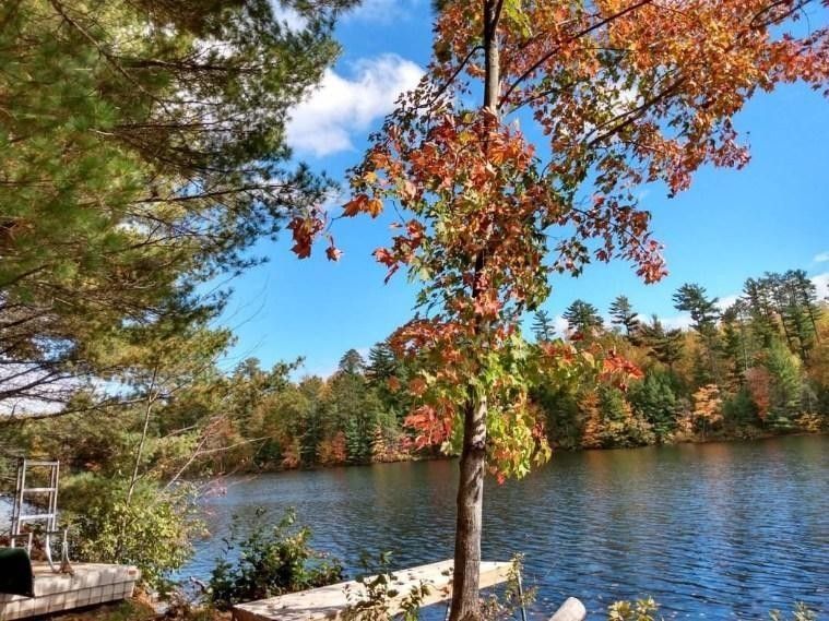Lac Du Flambeau, Vilas County, WI Undeveloped Land, Lakefront Property