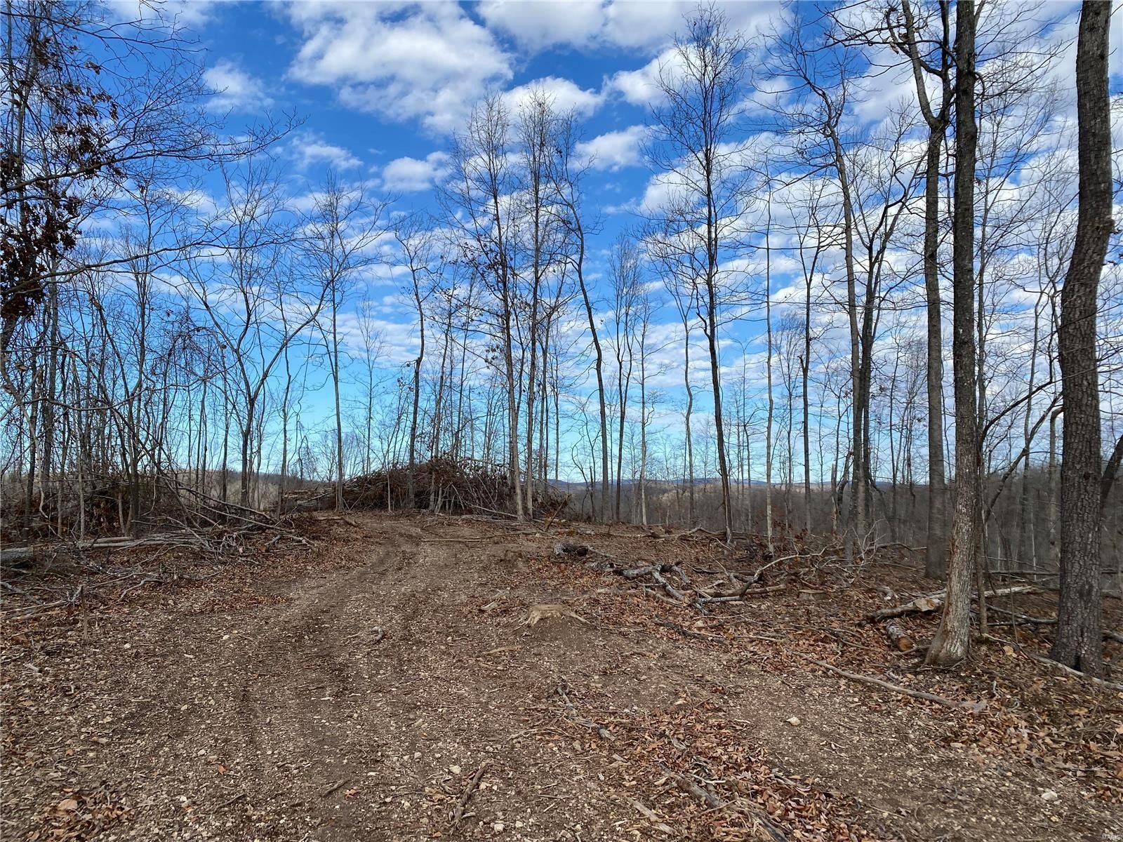 Annapolis, Reynolds County, MO Farms and Ranches for sale Property ID