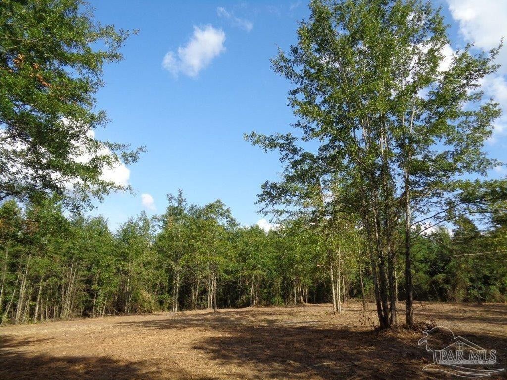 Frisco City, Monroe County, AL Undeveloped Land, Lakefront Property