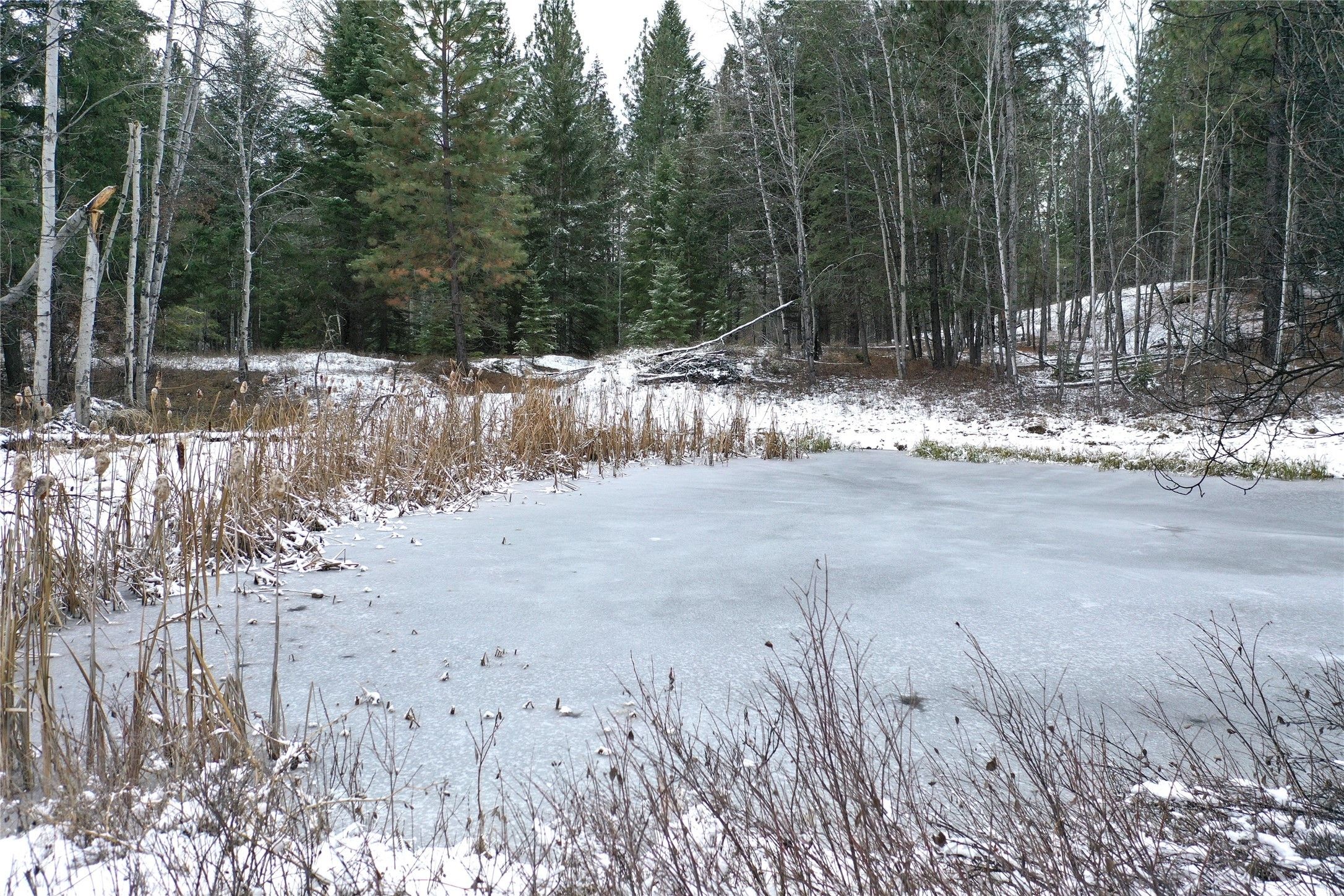 Eureka, Lincoln County, MT Undeveloped Land, Lakefront Property
