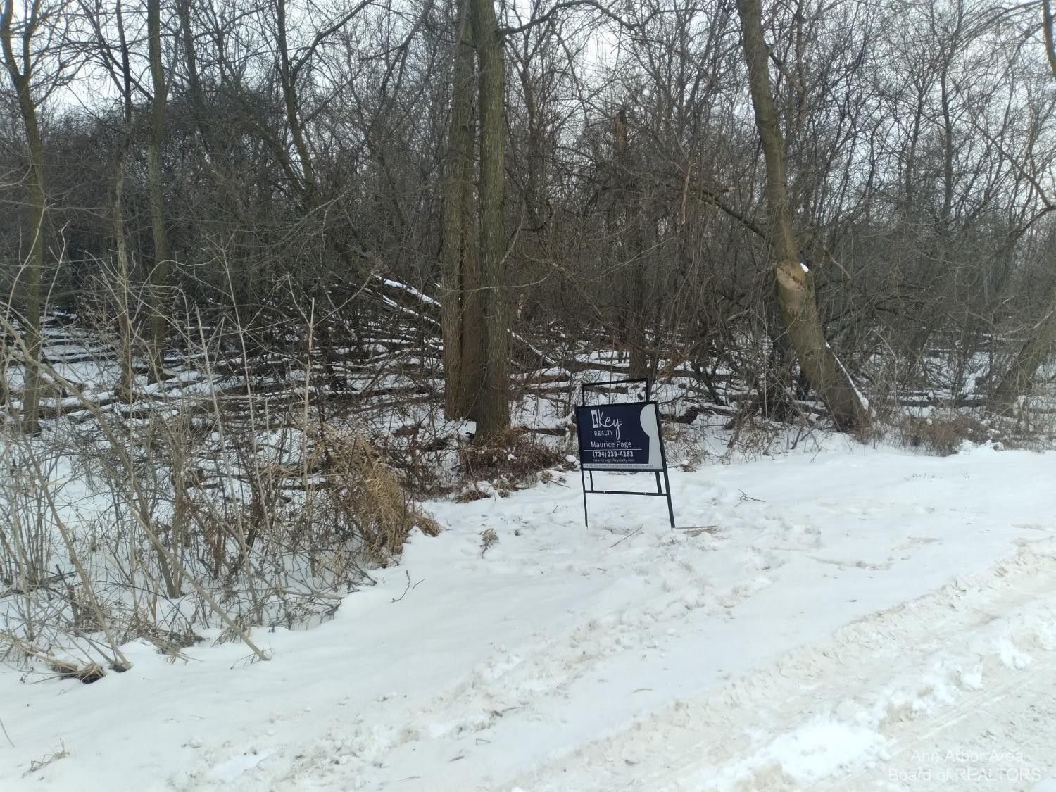 Saline, Washtenaw County, MI Undeveloped Land, Lakefront Property