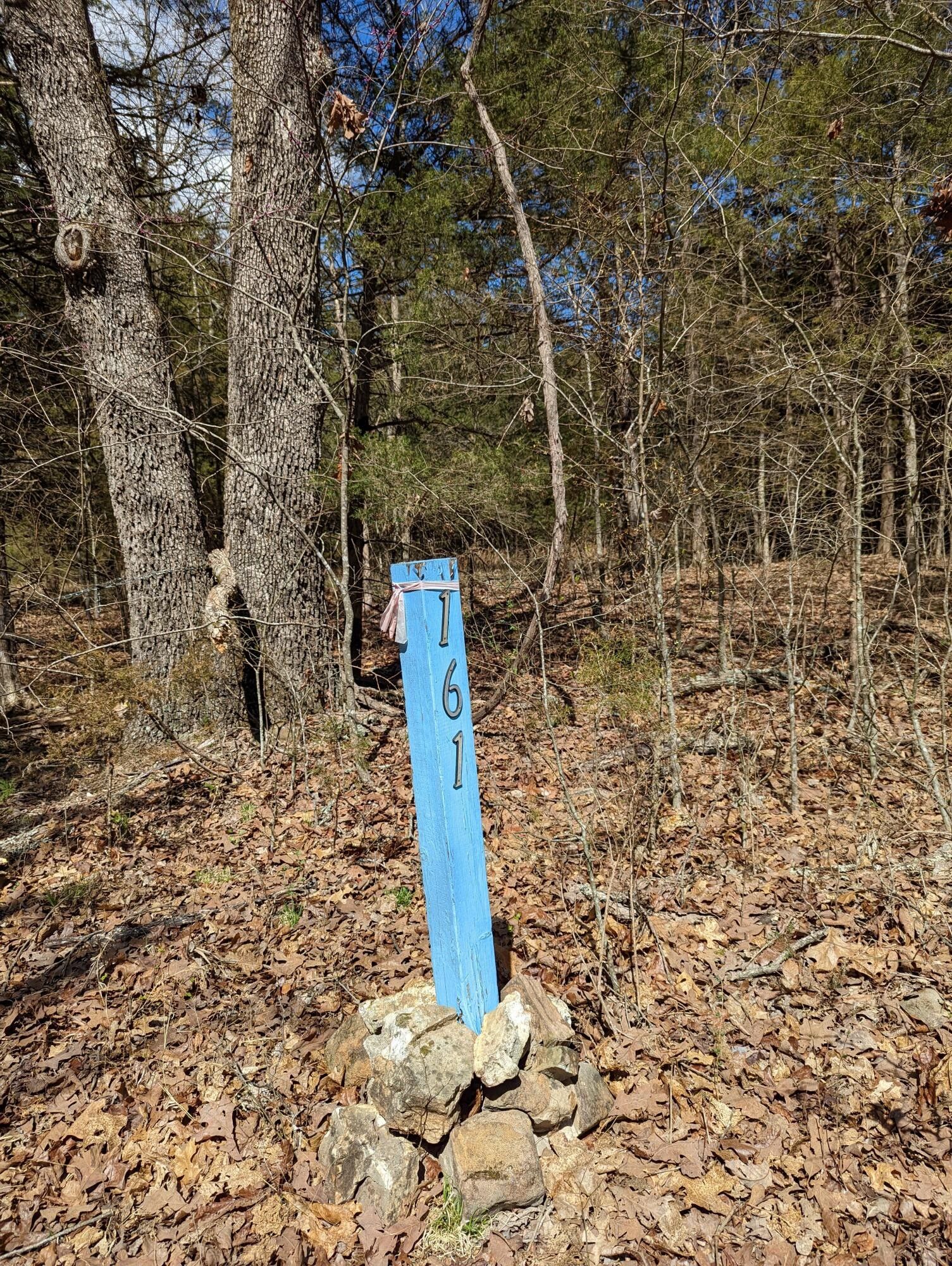 Lampe, Stone County, MO Undeveloped Land for sale Property ID