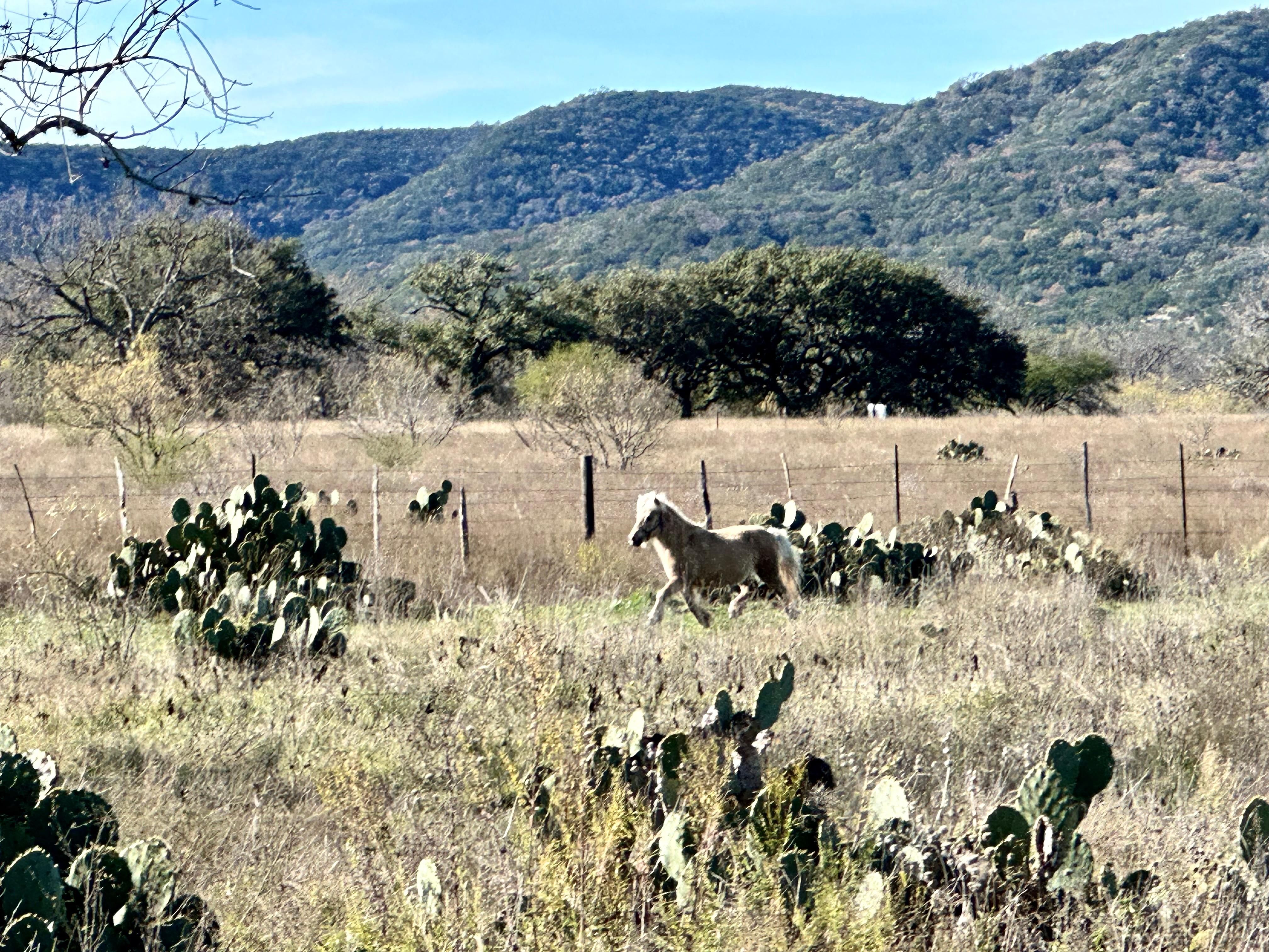 Utopia, Bandera County, TX for sale Property ID 418229616 LandWatch