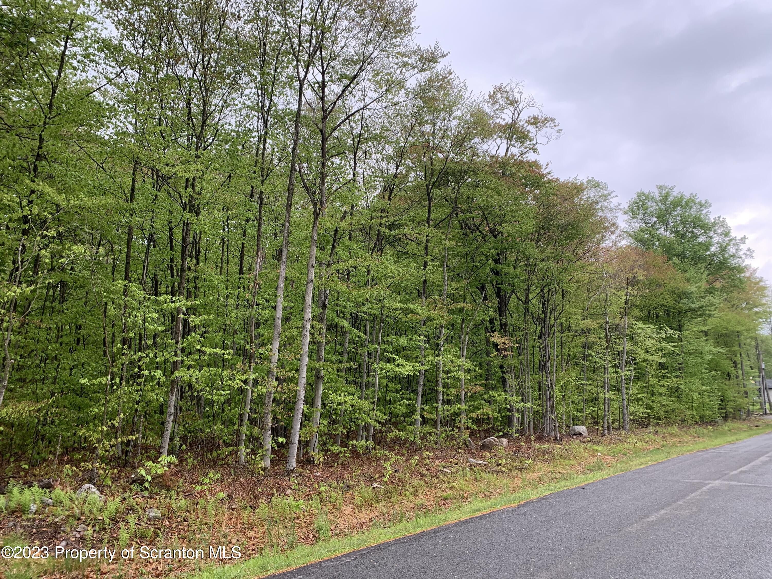 Thornhurst, Lackawanna County, PA Undeveloped Land, Homesites for sale