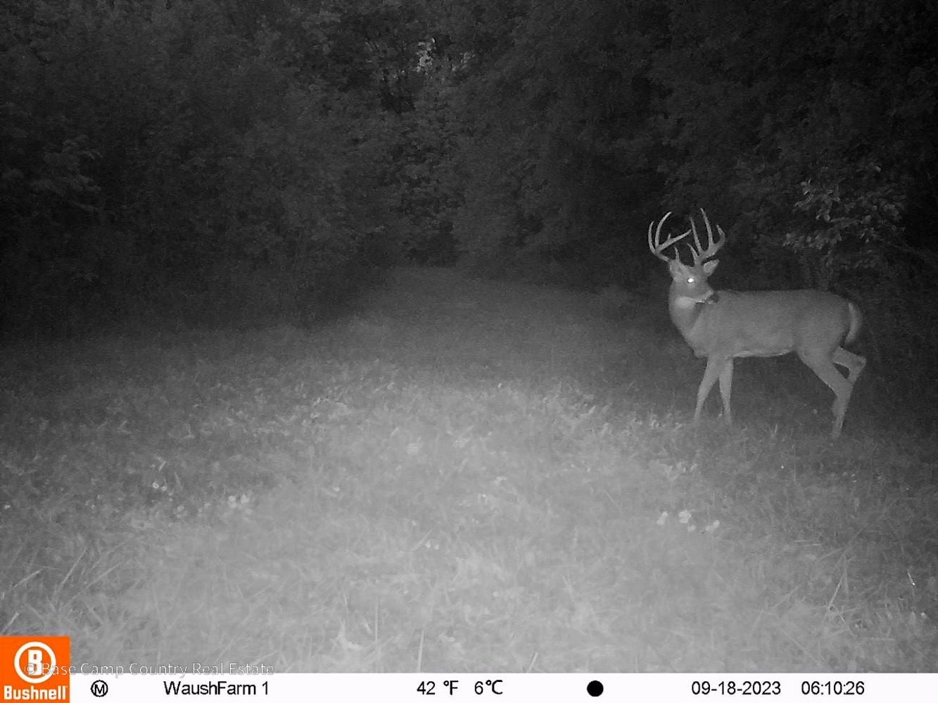 146 acres in Redgranite, WI, 54970 LandWatch