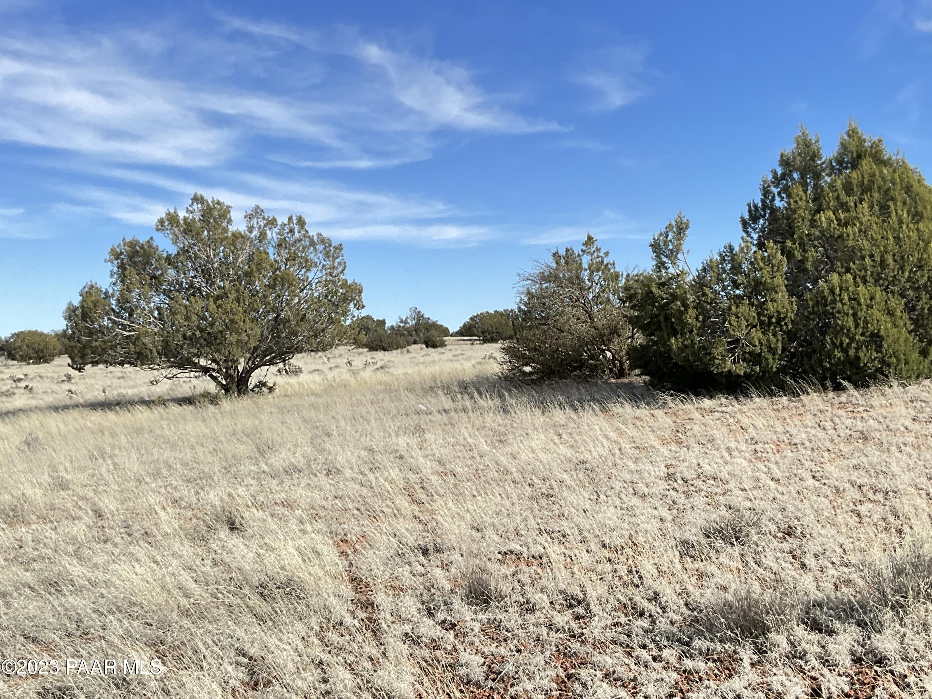 Seligman, Yavapai County, AZ Undeveloped Land for sale Property ID
