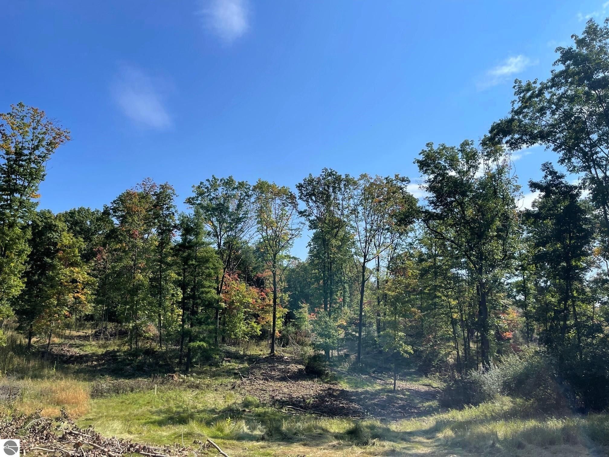 Weidman, Isabella County, MI Undeveloped Land for sale Property ID