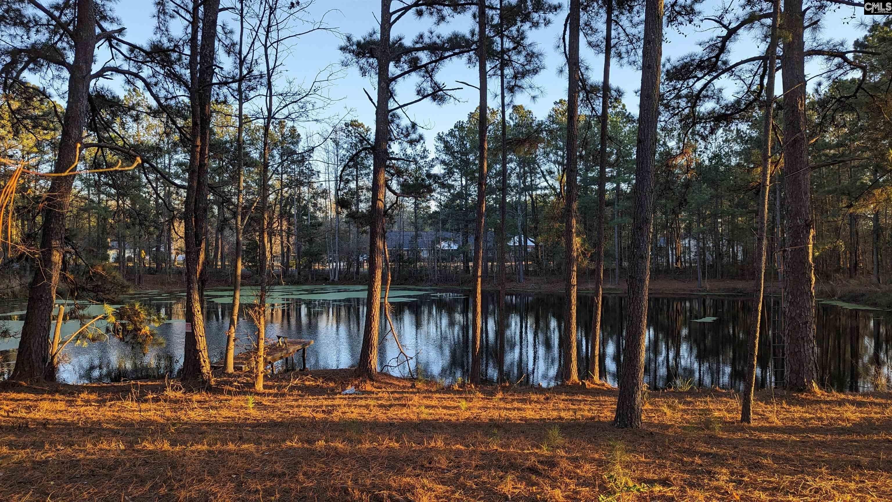 Ridgeway, Fairfield County, SC Lakefront Property, Waterfront Property