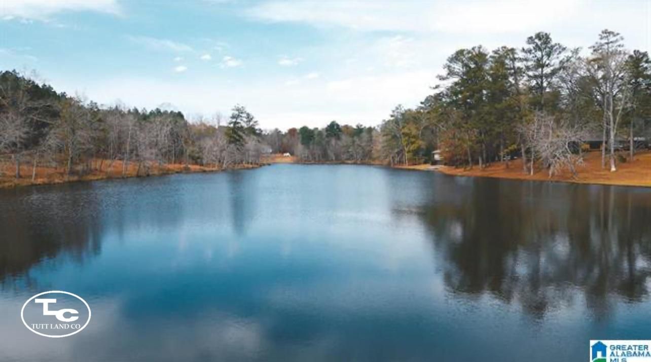 3665 Coaling Rd, Sylacauga, AL 35151 LandWatch