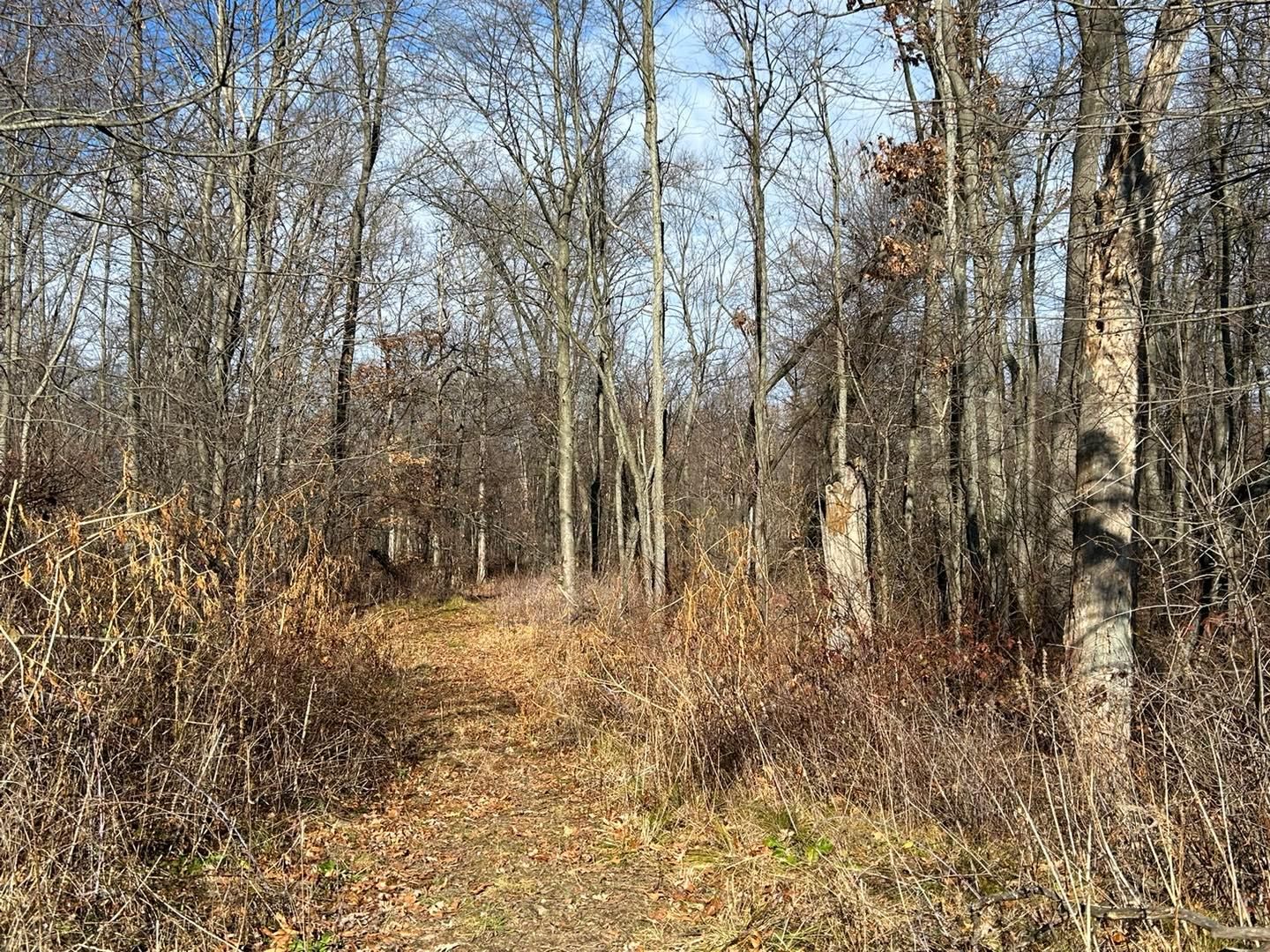 Fowle Rd, Jonesville, MI 49250 MLS 23145257 LandWatch