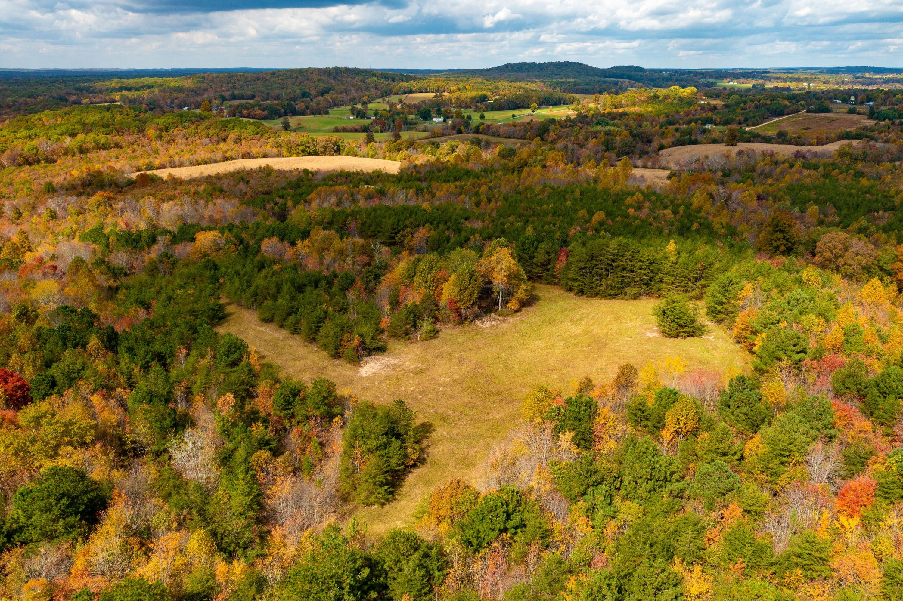 Pikeville, Bledsoe County, TN Undeveloped Land for sale Property ID