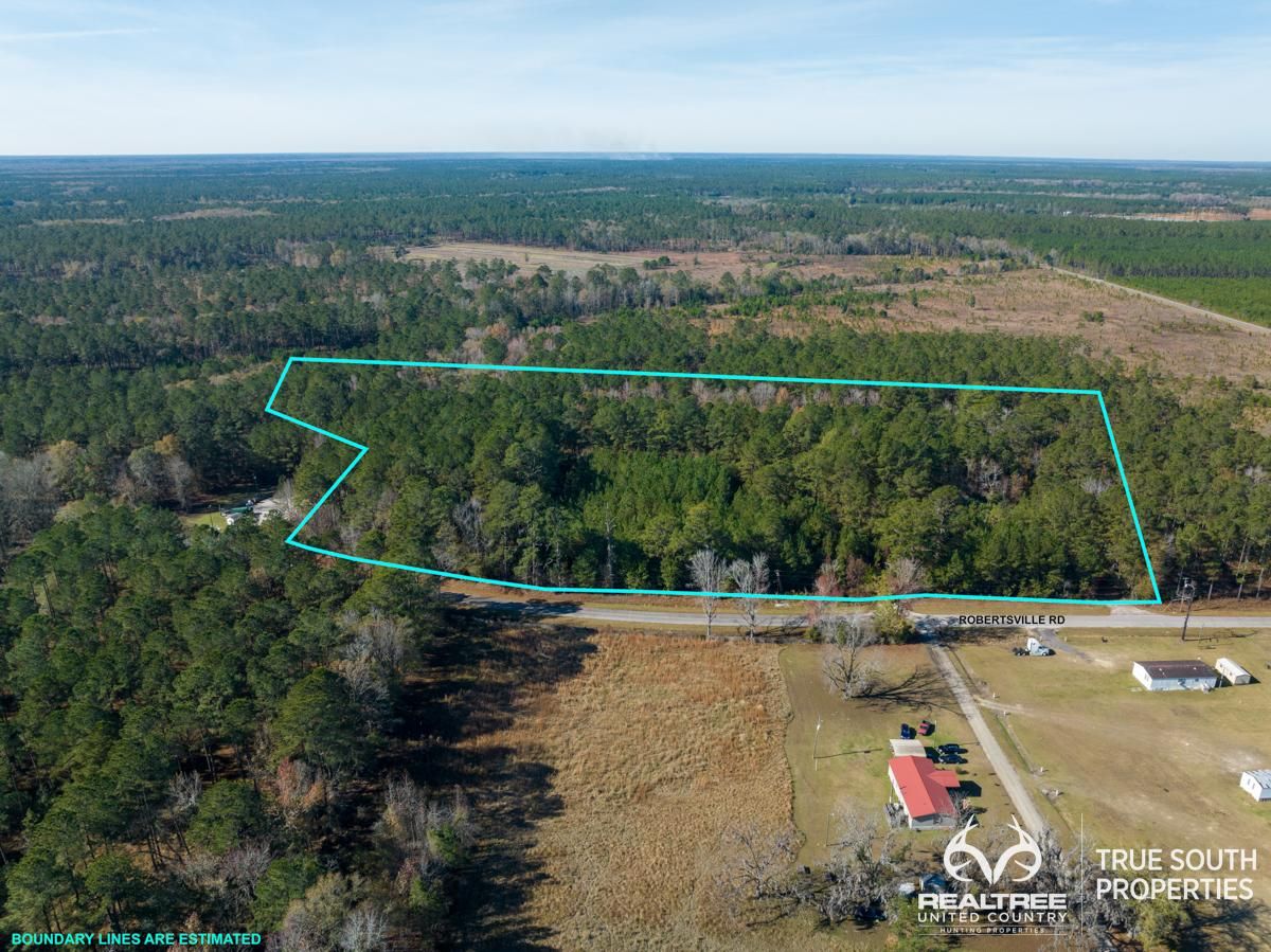 Hampton County, SC Recreational Property, Undeveloped Land for