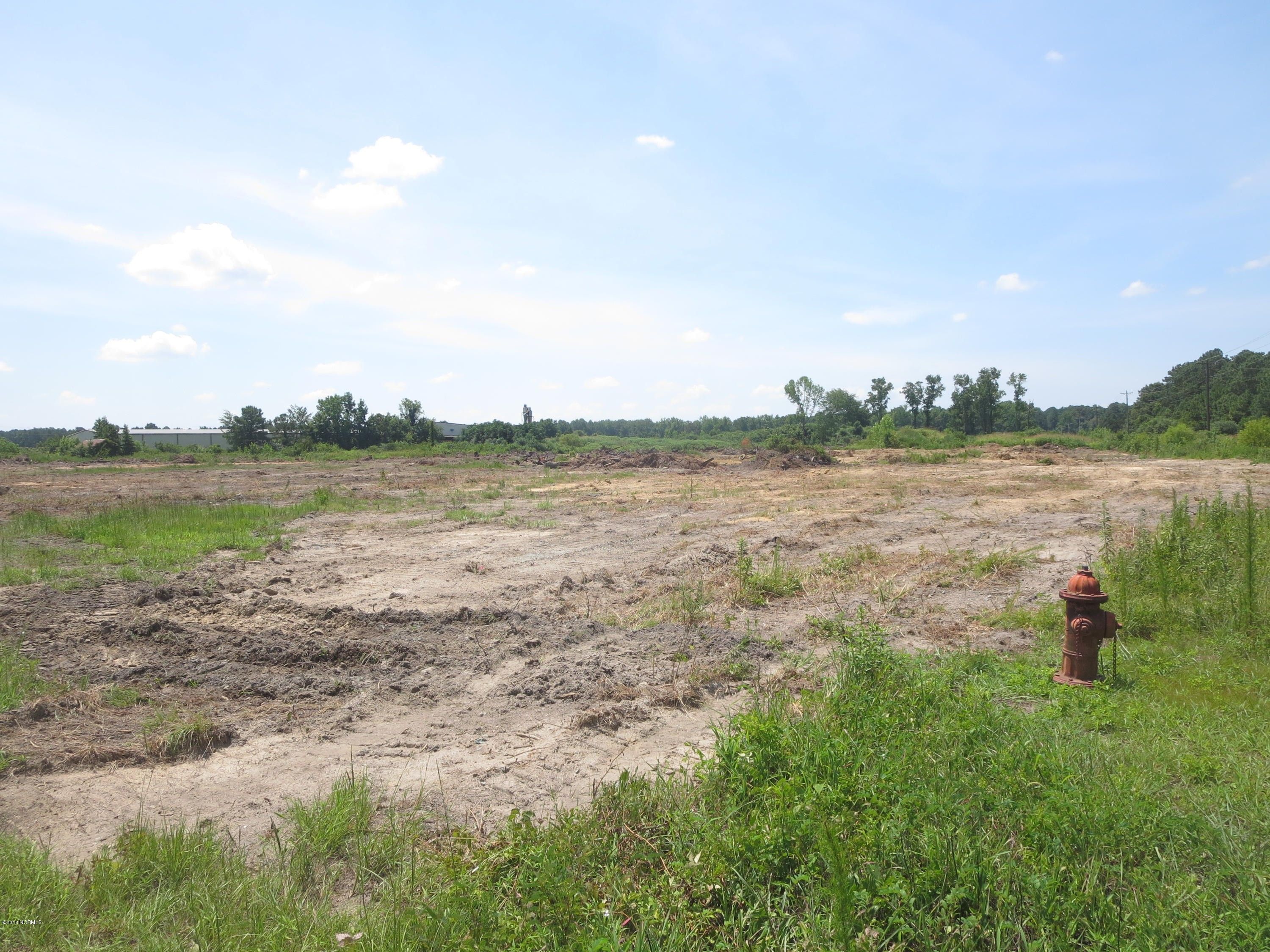 Scotland Neck, Halifax County, NC Undeveloped Land for sale Property ID