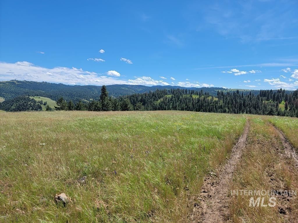 Cottonwood, Idaho County, ID Undeveloped Land for sale Property ID