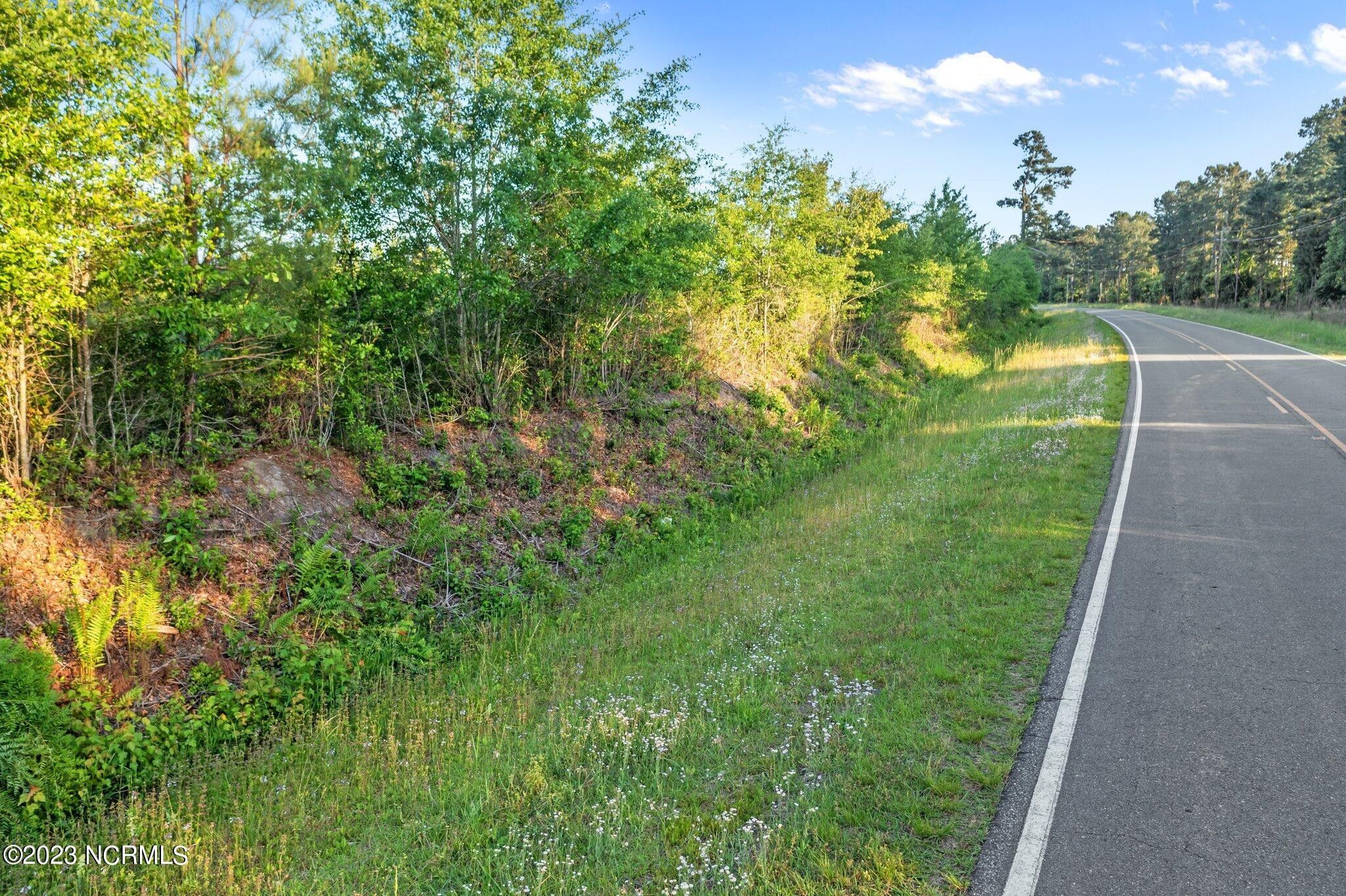 Beulaville, Duplin County, NC Undeveloped Land for sale Property ID