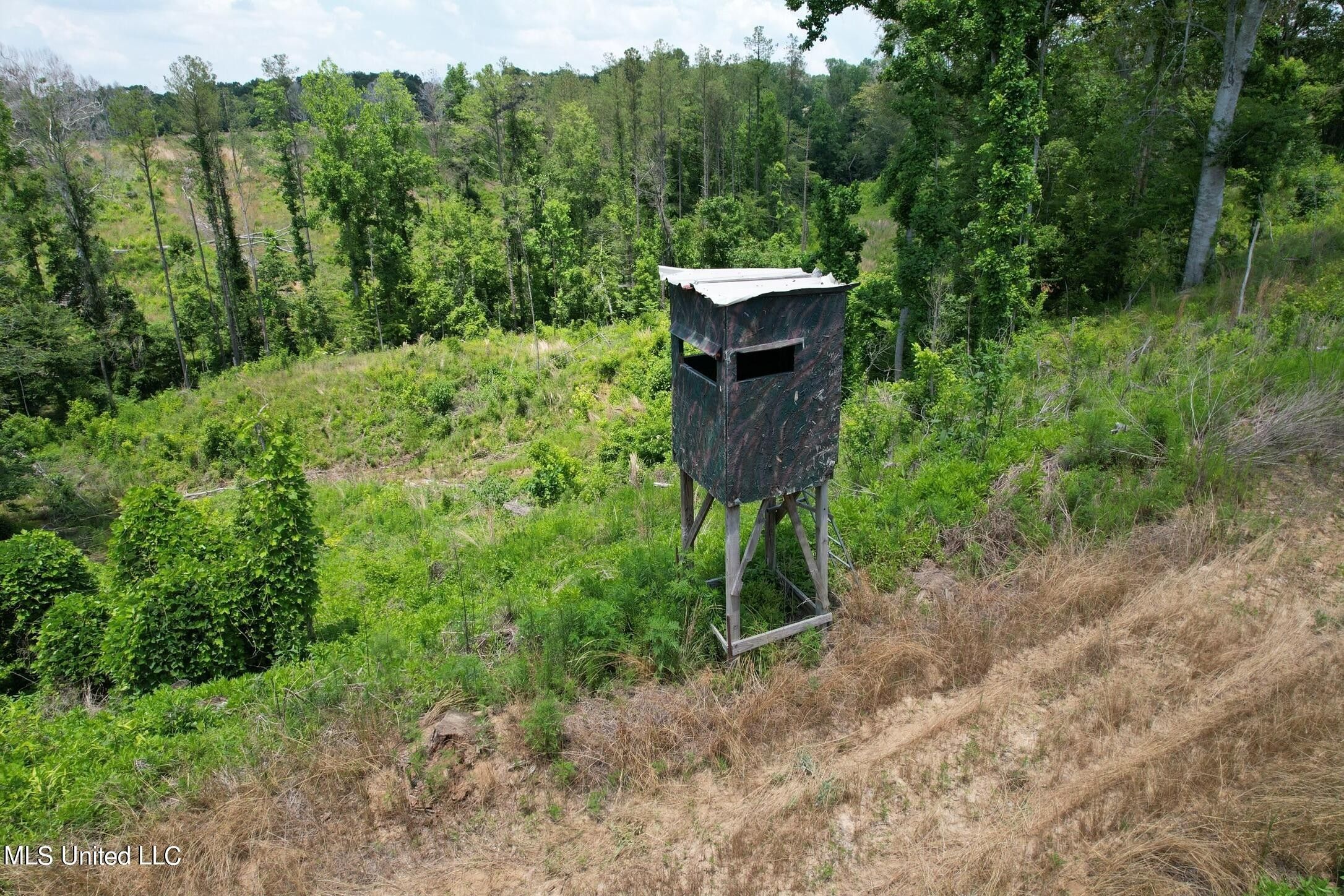 Lexington, Holmes County, MS Undeveloped Land for sale Property ID