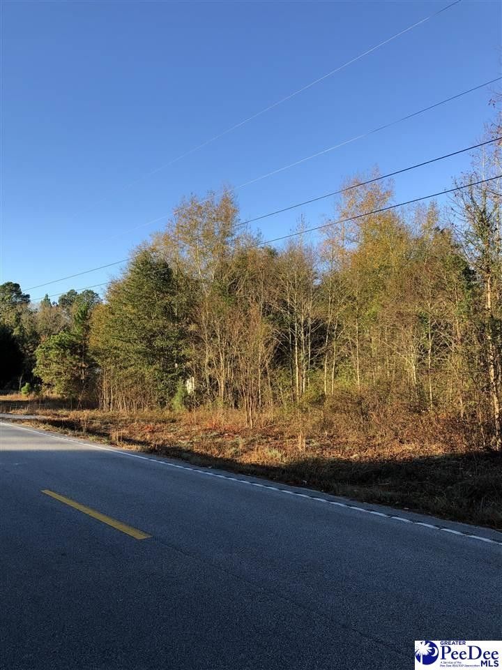 Blenheim, Marlboro County, SC Undeveloped Land, Homesites for sale