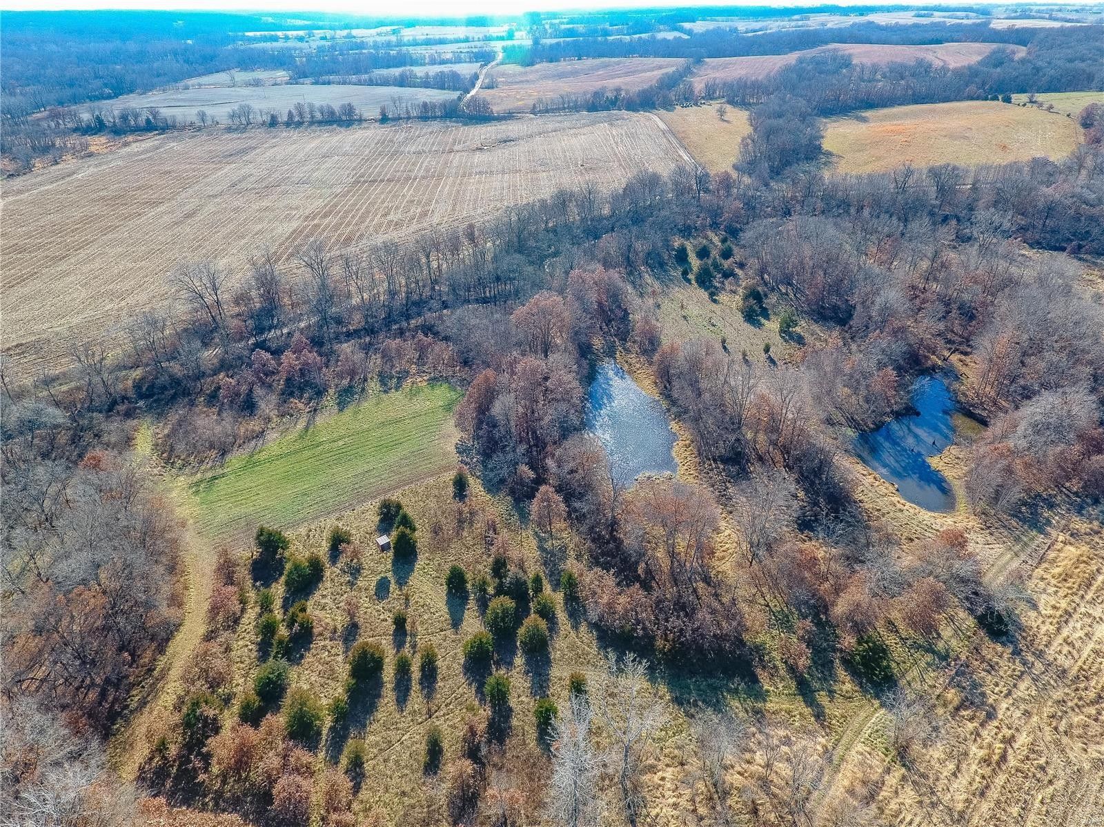 Bucklin, Macon County, MO Farms and Ranches for sale Property ID