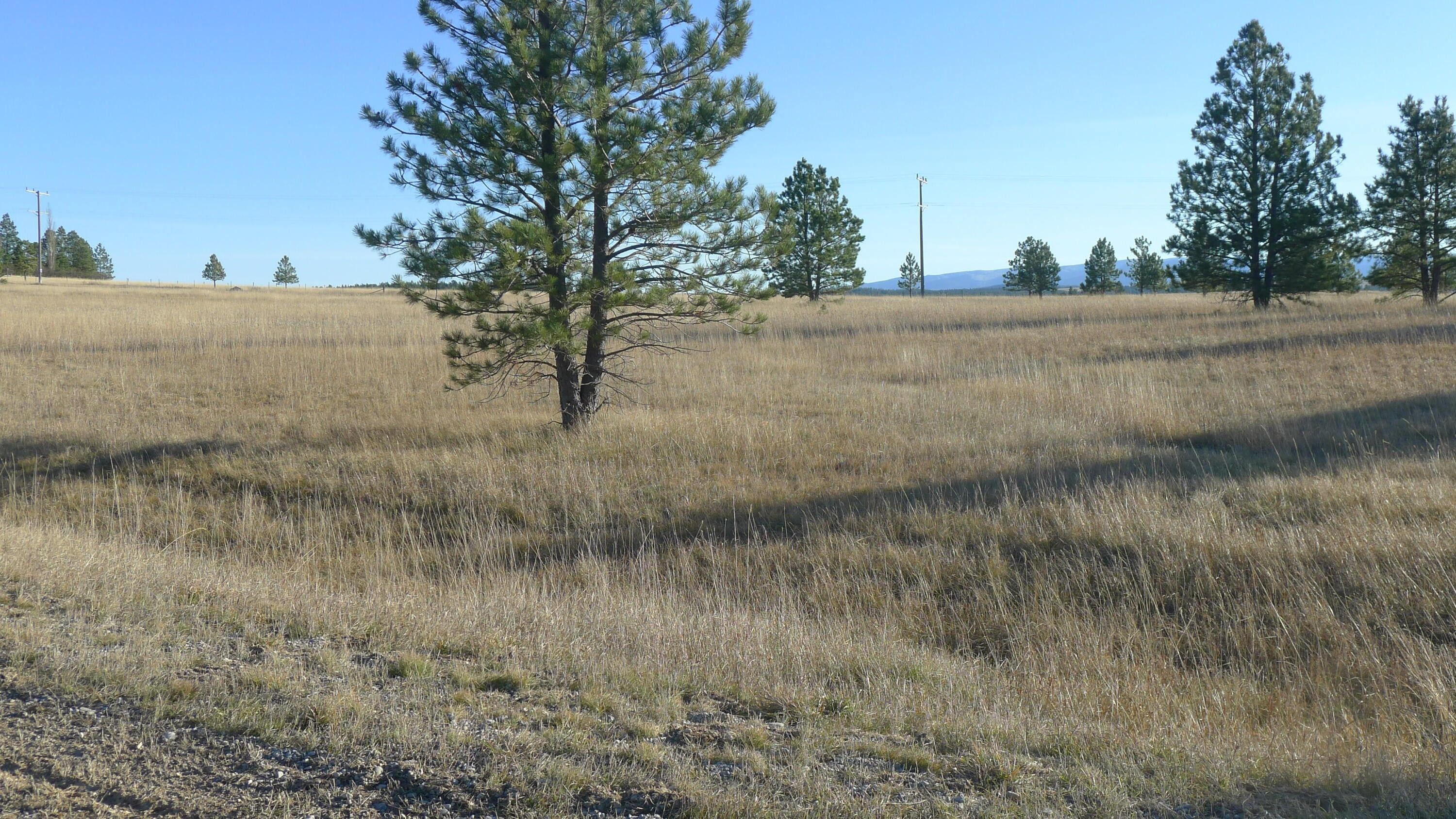 Lewistown, Fergus County, MT Undeveloped Land, Homesites for sale