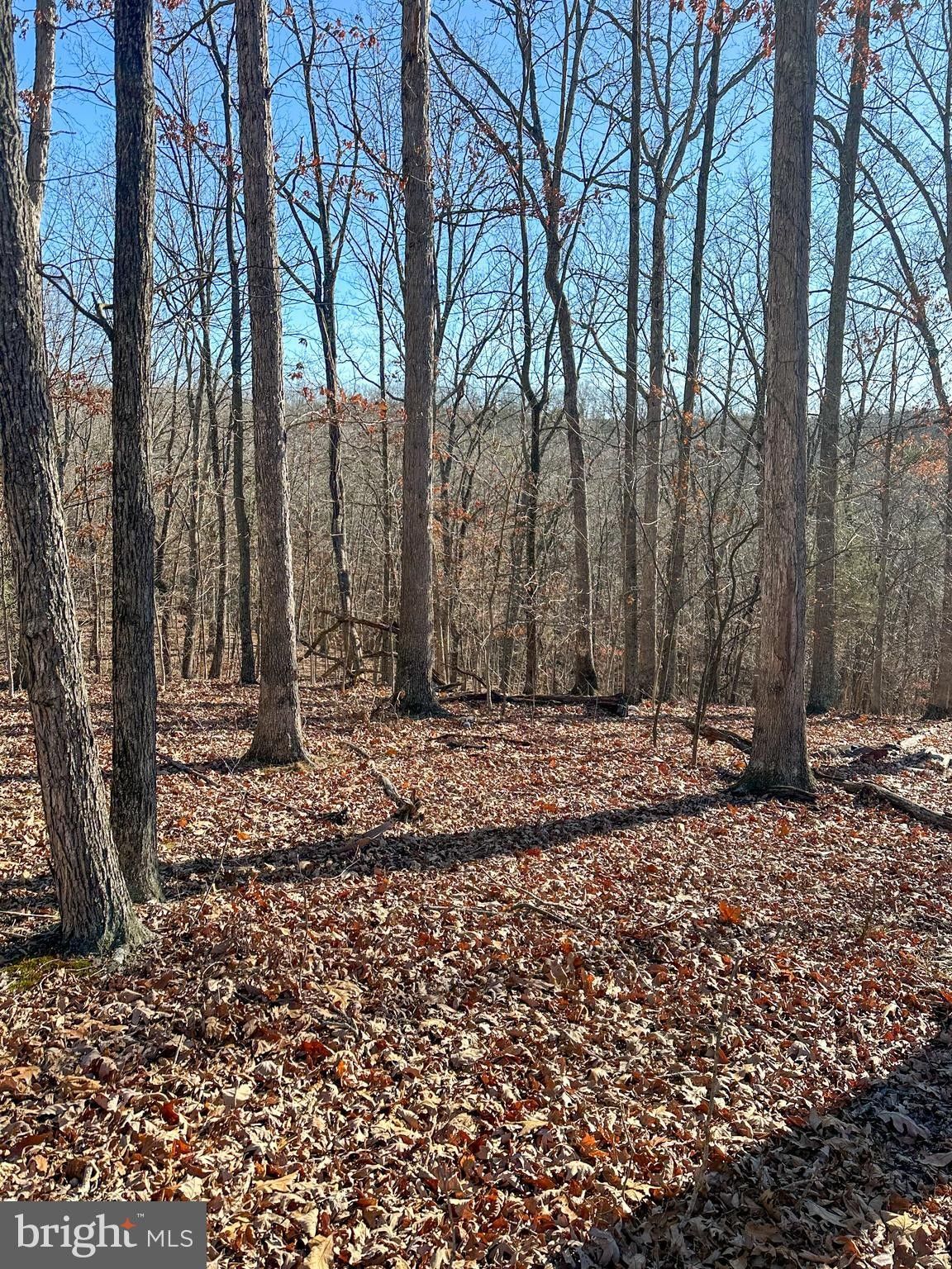 Springfield, Hampshire County, WV Undeveloped Land for sale Property ID