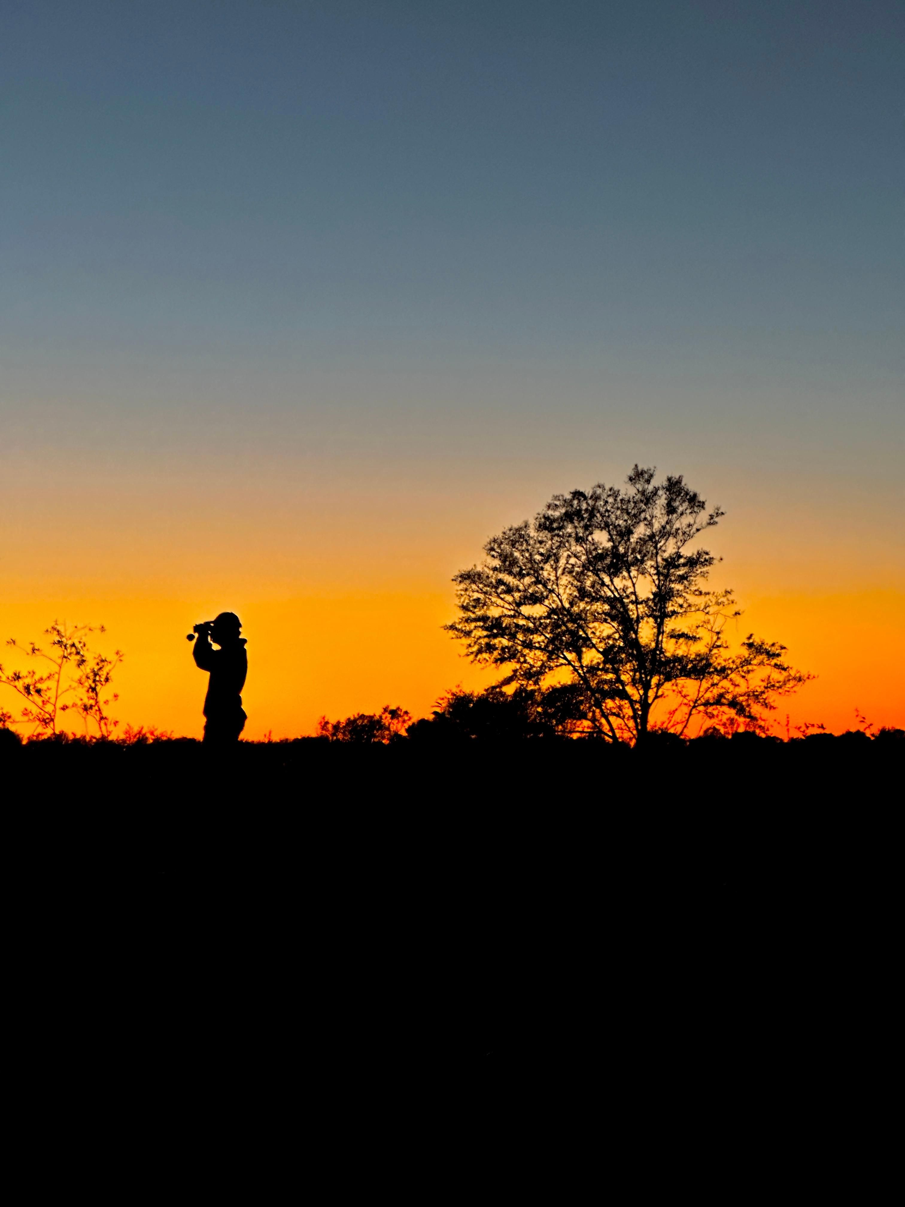 Morriston, Marion County, FL Farms and Ranches, Horse Property for sale