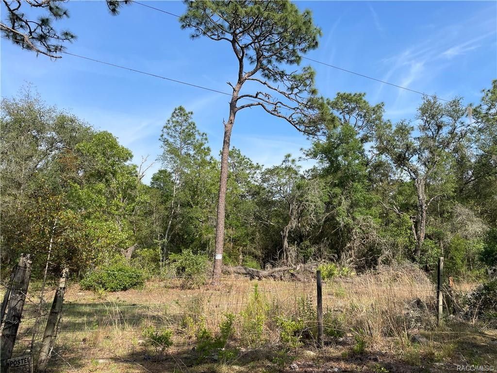 Dunnellon, Marion County, FL Undeveloped Land for sale Property ID