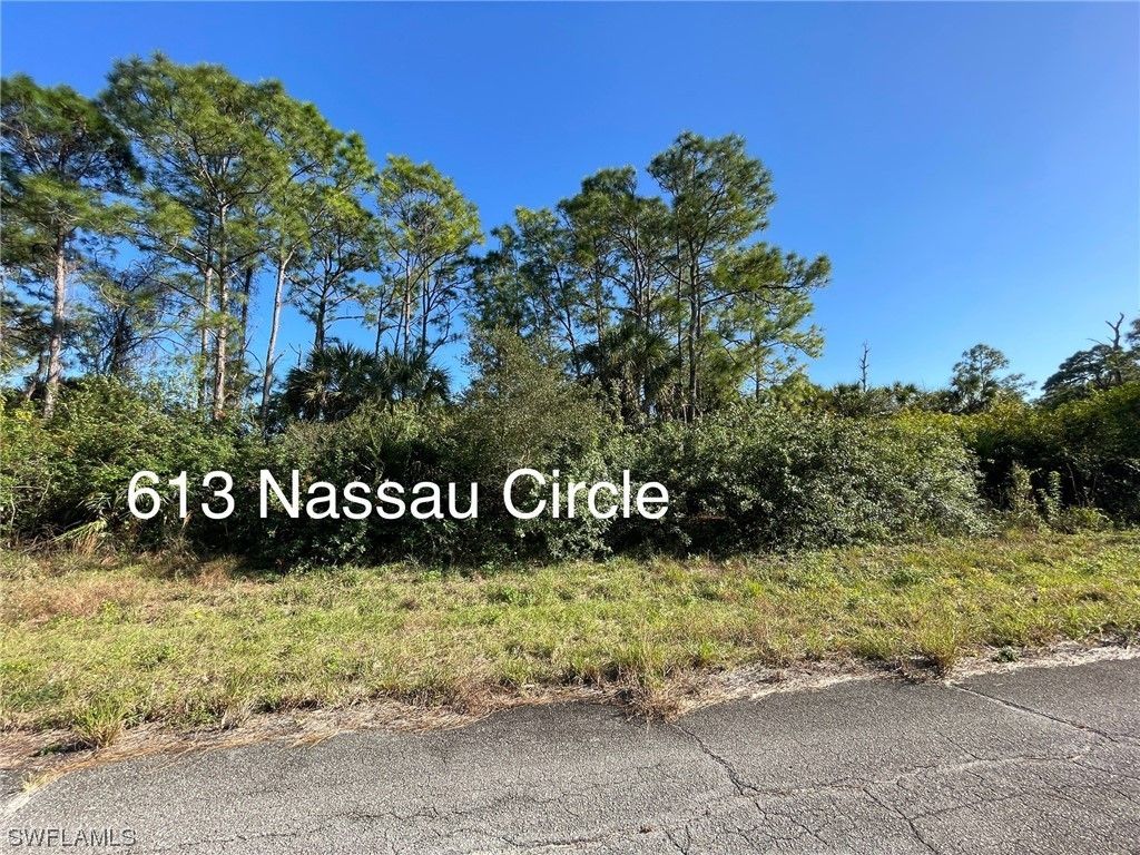 Labelle, Hendry County, FL Undeveloped Land, Homesites for sale