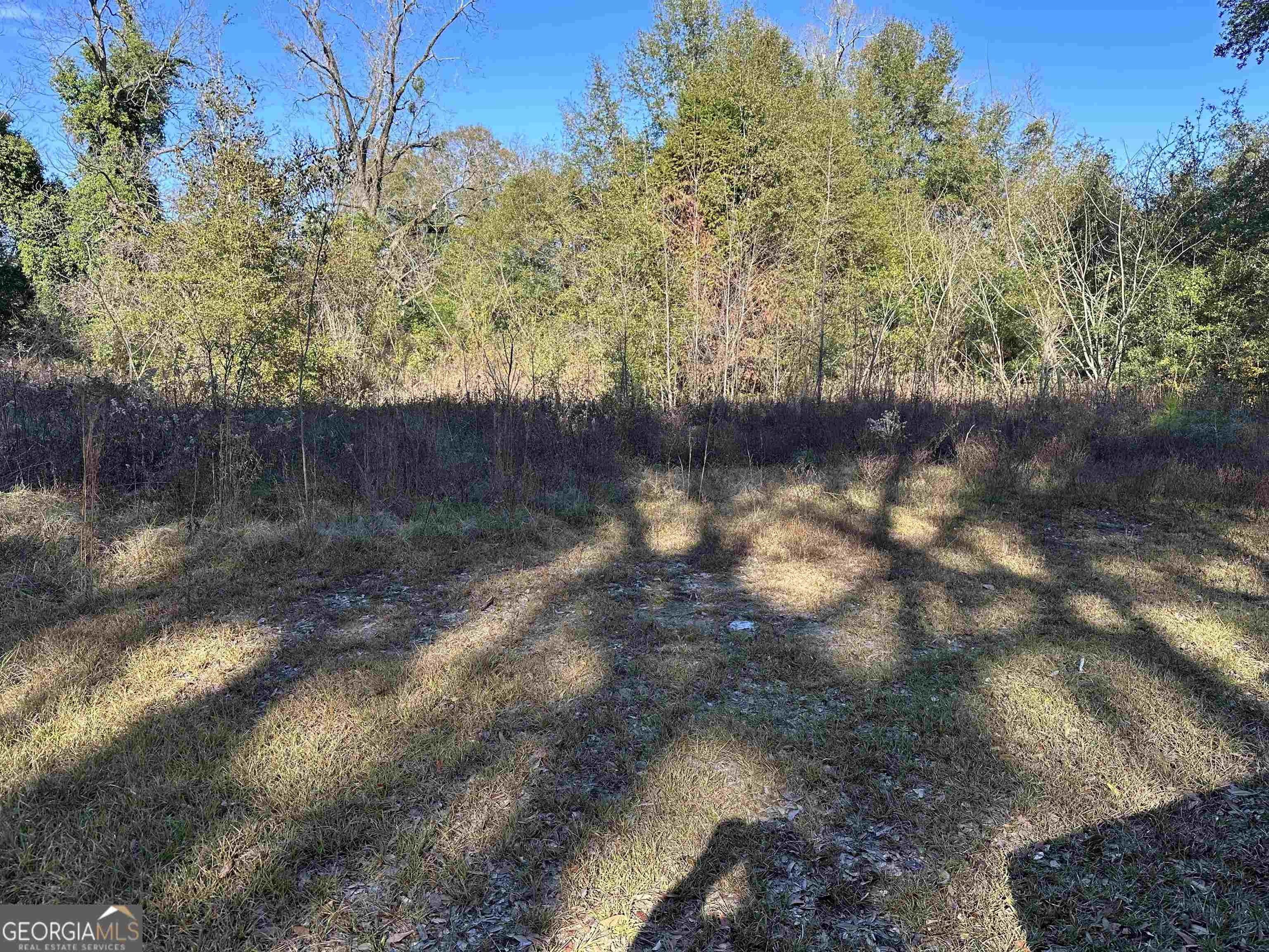 Albany, Dougherty County, GA Undeveloped Land, Homesites for sale