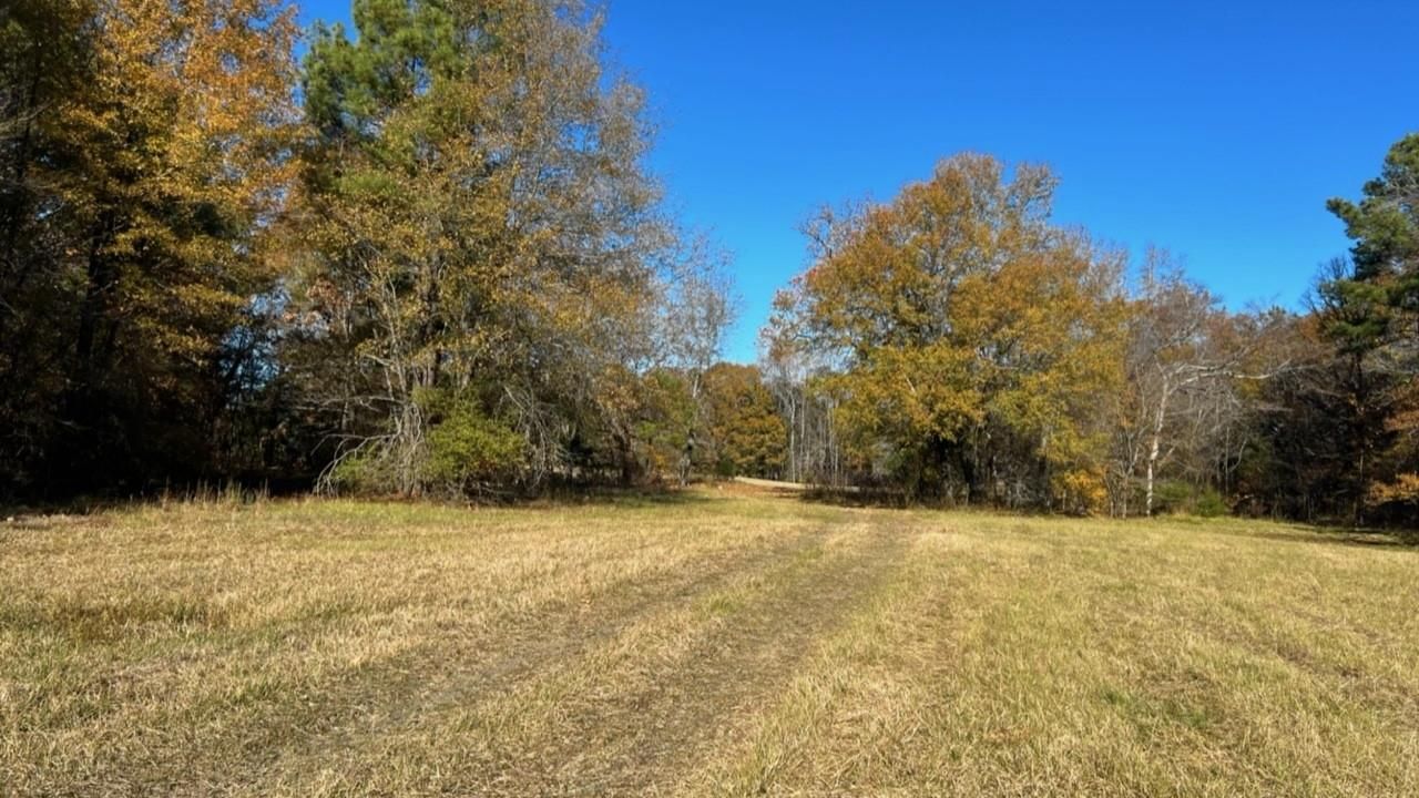 125 acres in Dilworth, TX, 75426 LandWatch