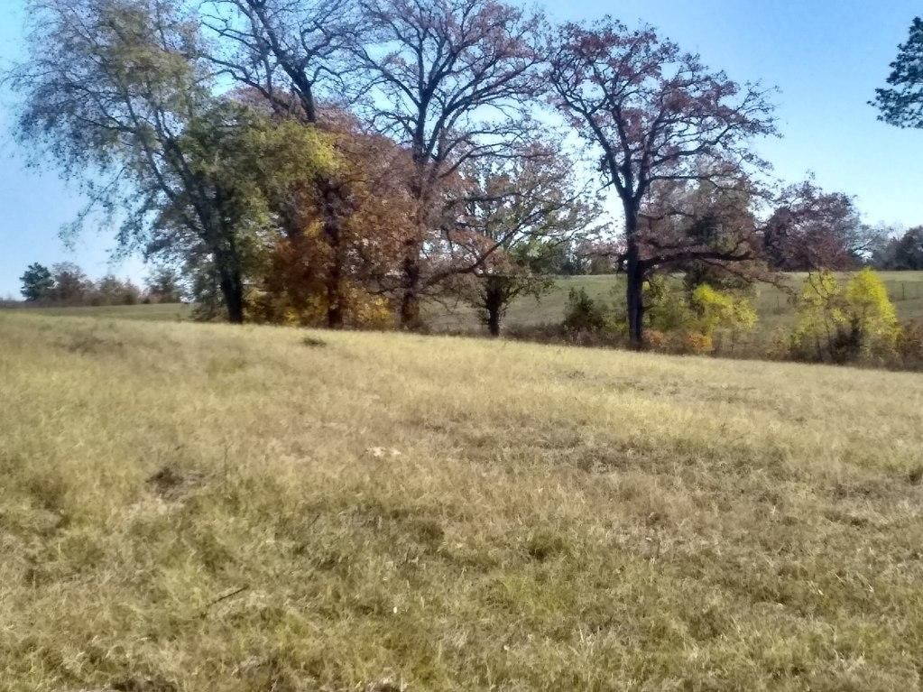 Laneville, Rusk County, TX Farms and Ranches, Recreational Property