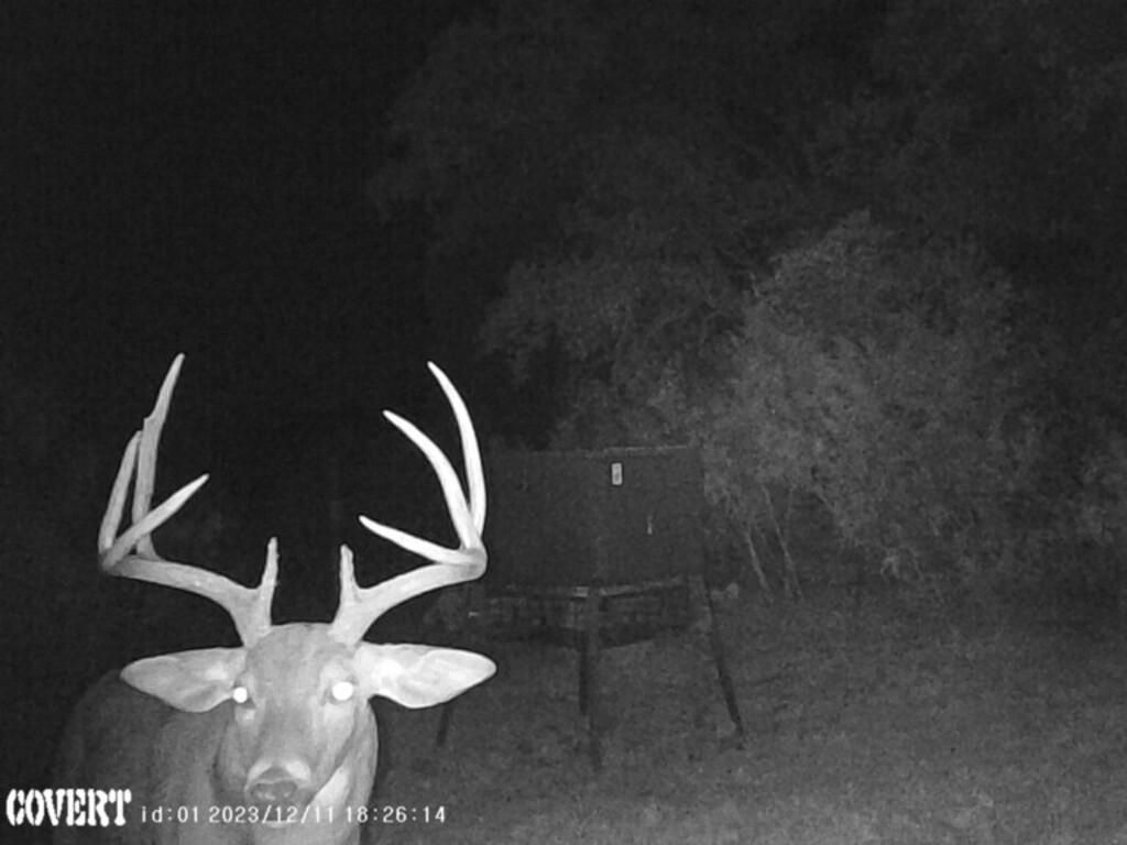 82 acres in Juno, TX, 78840 LandWatch