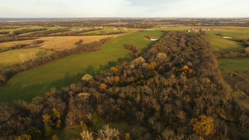 4717 SE Yankee Ridge Road, Kingston, MO 64650 MLS Caldwell 108