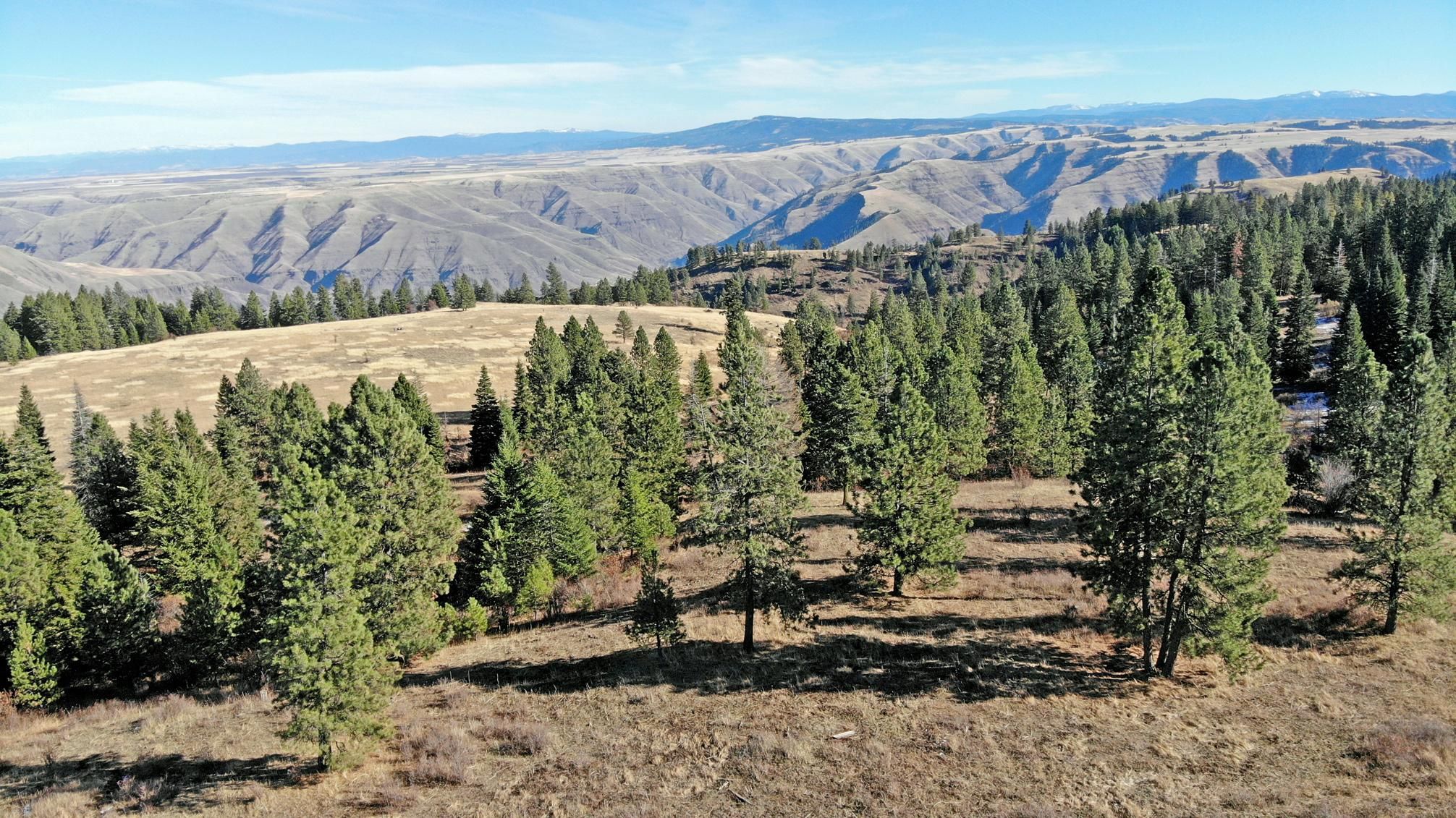 4381 Boles Road, Cottonwood, ID 83522 MLS Joseph Plains Ranch LandWatch