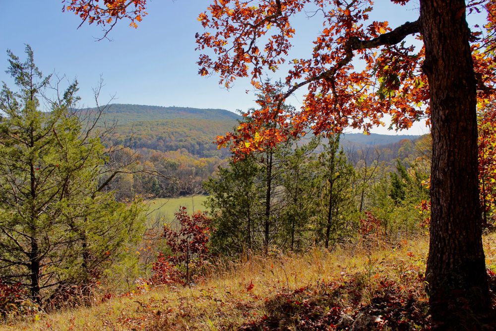 1212 Madison 3235, Witter, AR 72776 MLS Madison 160 LandWatch