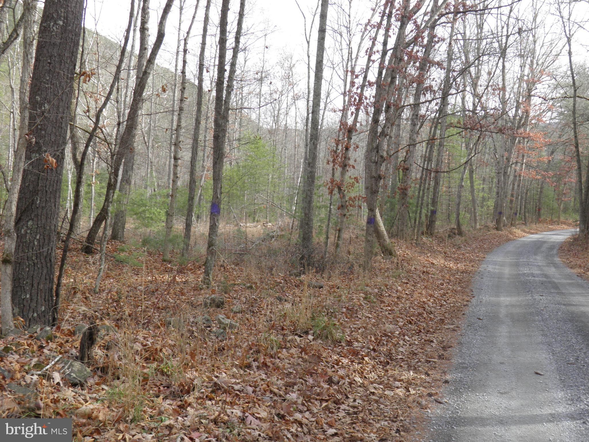 Fort Seybert, Pendleton County, WV Undeveloped Land for sale Property