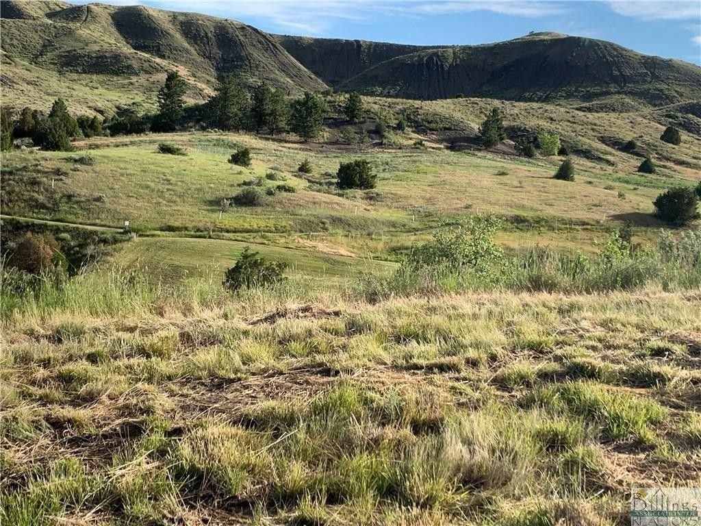 Billings, Yellowstone County, MT Undeveloped Land, Homesites for sale