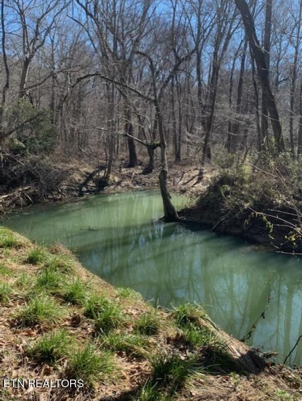 Sunbright, County, TN Undeveloped Land for sale Property ID