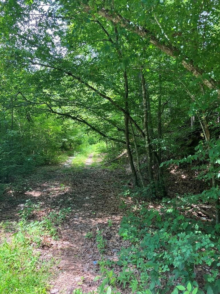 Burkeville, Nottoway County, VA Undeveloped Land for sale Property ID