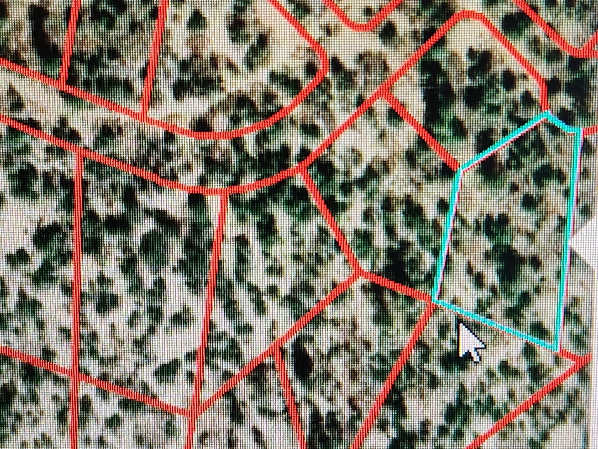 Tierra Amarilla, Rio Arriba County, NM Undeveloped Land, Homesites for