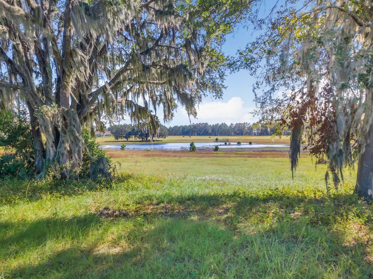 Madison, Madison County, FL Undeveloped Land for sale Property ID