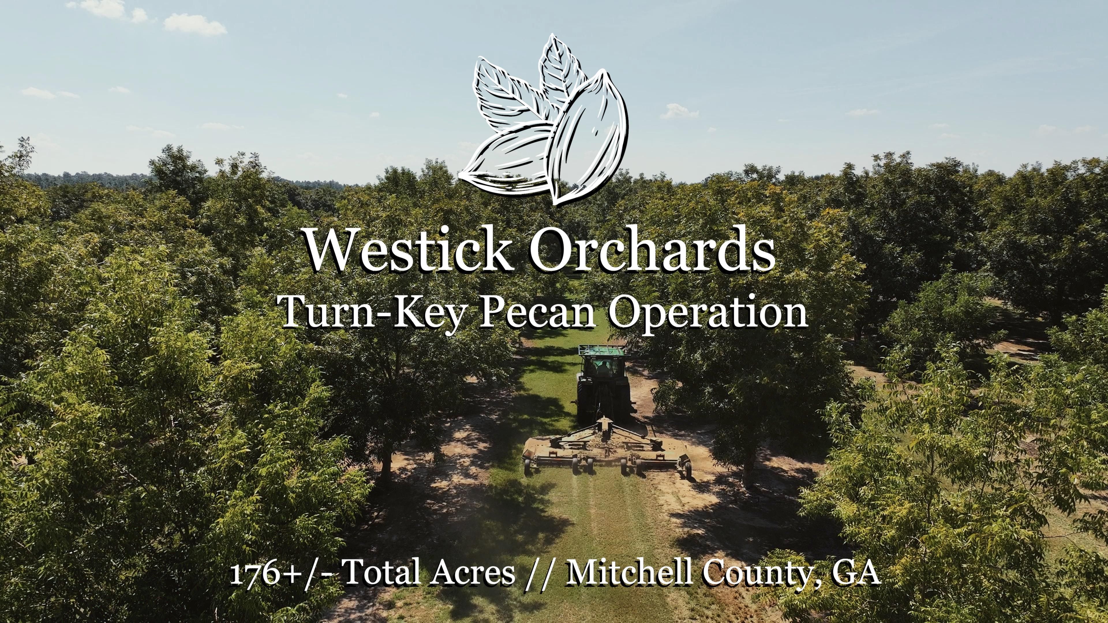 Baconton, Mitchell County, GA Farms and Ranches, Recreational Property