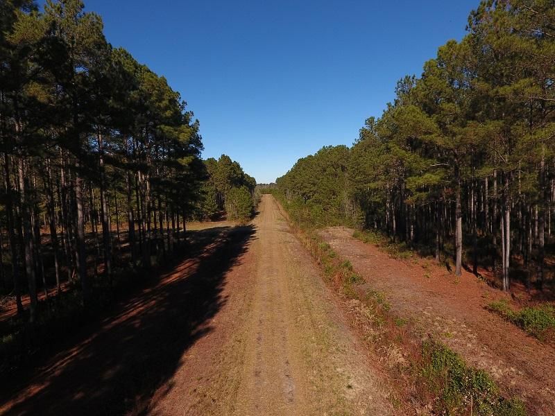 Ash, Brunswick County, NC Recreational Property, Timberland Property