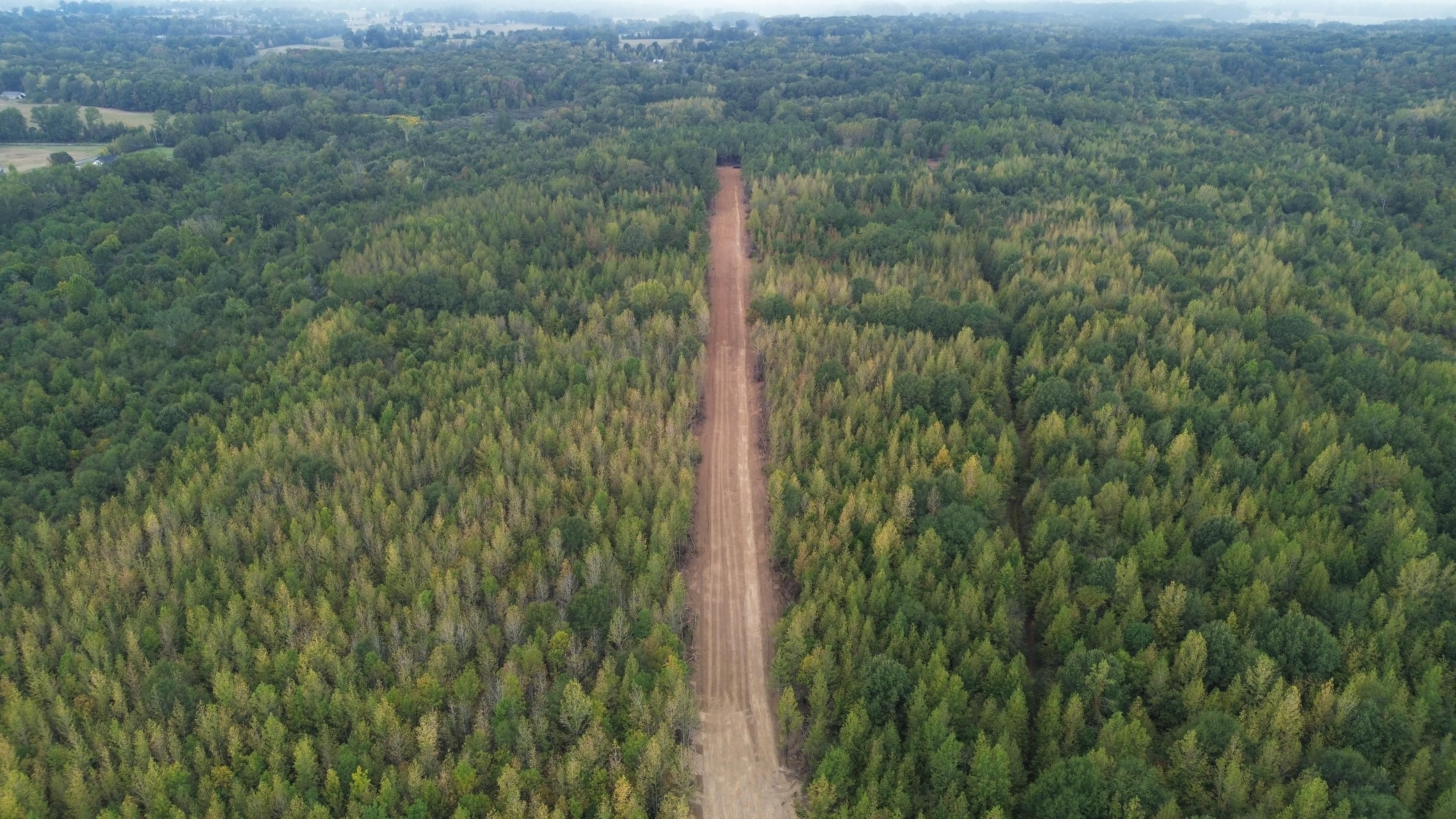 Ward, Lonoke County, AR Timberland Property, Undeveloped Land, Hunting