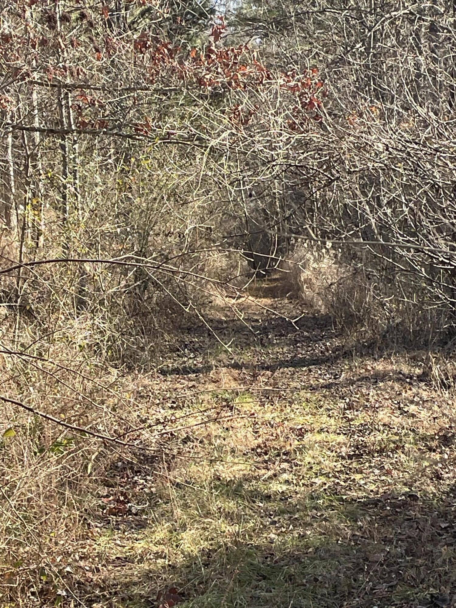 Manchester, Clay County, KY Farms and Ranches for sale Property ID