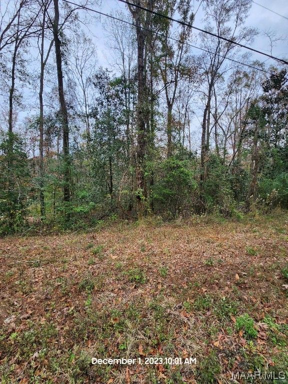 New Brockton, Coffee County, AL Undeveloped Land, Homesites for sale