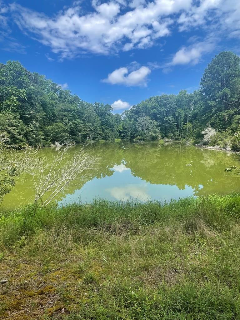 0 Lakeview Rd, Lancaster, VA 22503 MLS 114041 LandWatch